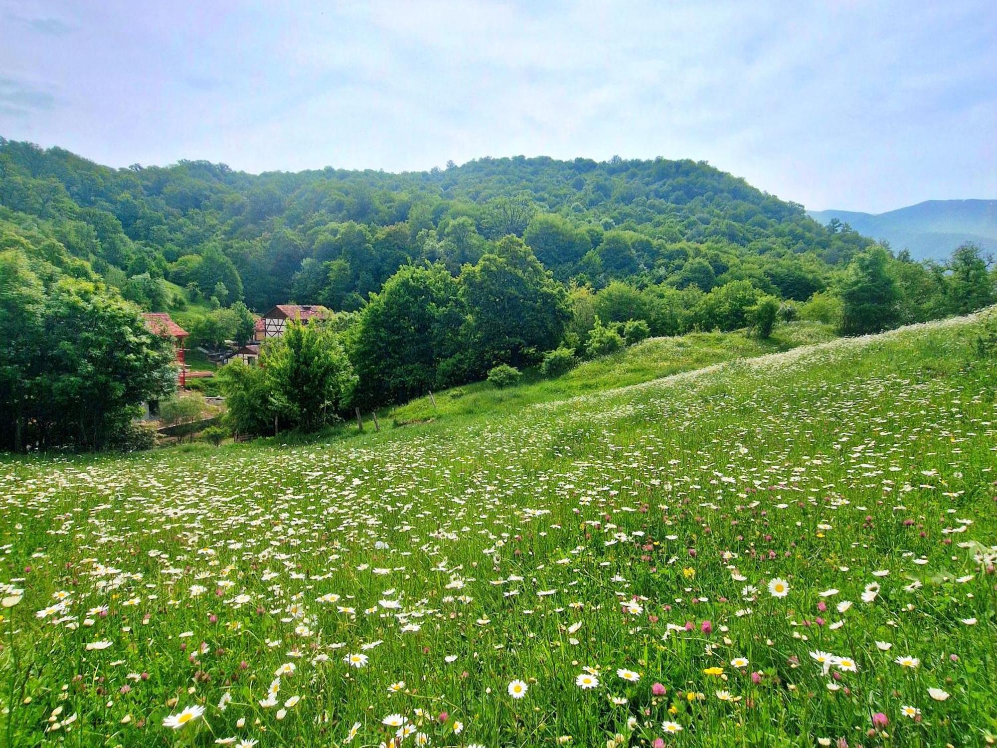 Ecokayan Dilijan Resort Hotel 外观 照片
