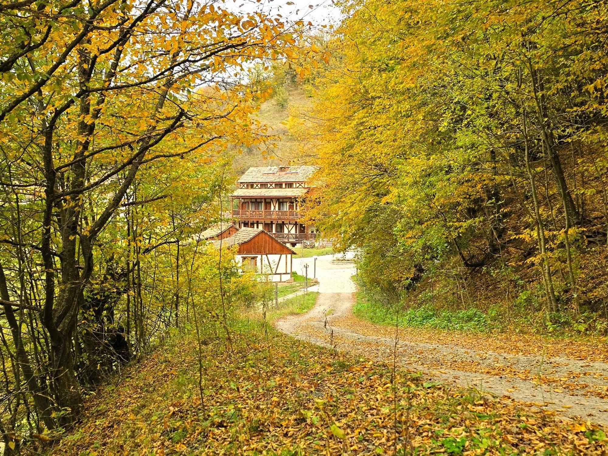 Ecokayan Dilijan Resort Hotel 外观 照片